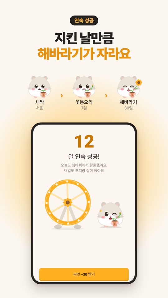 지킨 날만큼 해바라기가 자라요. 연속 성공 축하 화면과 화분 세 단계.